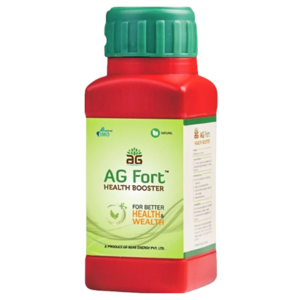 AG fort