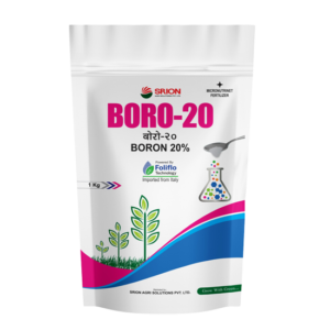 Boro 20