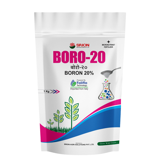 Boro 20