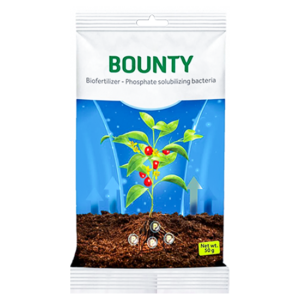 Bounty