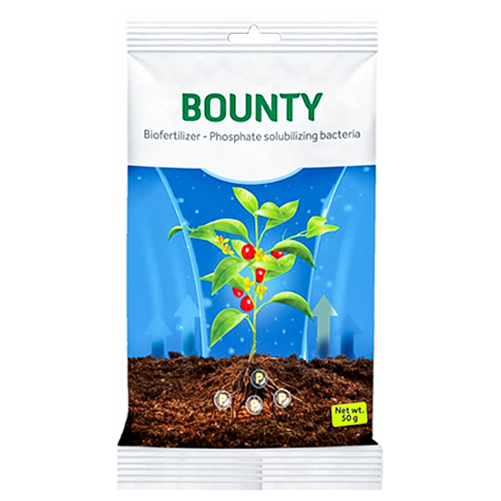 Bounty