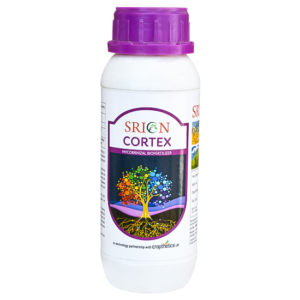 CORTEX