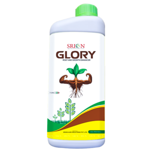 Glory