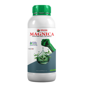 MAGNICA