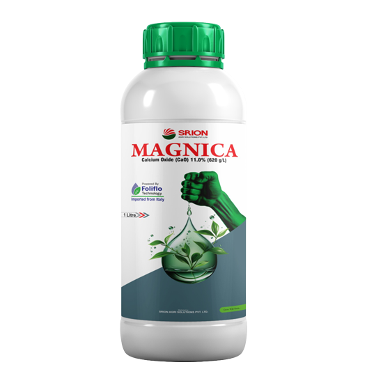 MAGNICA