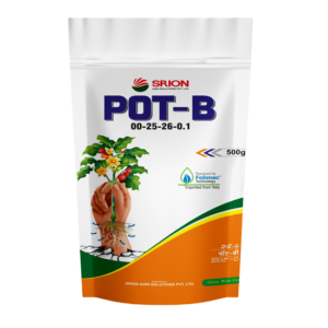 Pot B