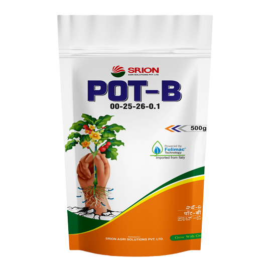 Pot B