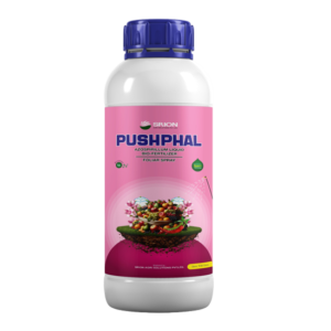 Pushpal