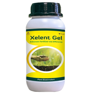Xelent Gel