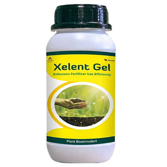 Xelent Gel
