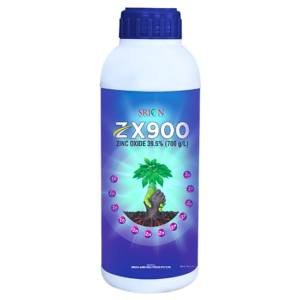 ZX 900