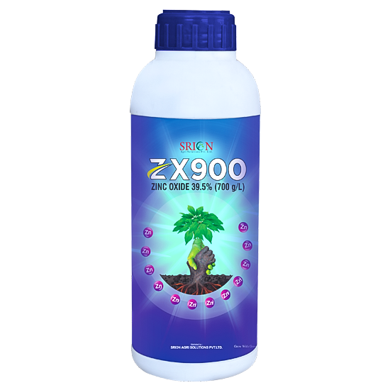 ZX 900